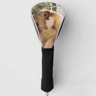 Schweinchen Golf Headcover