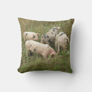 Schweine auf einem Feld Kissen
