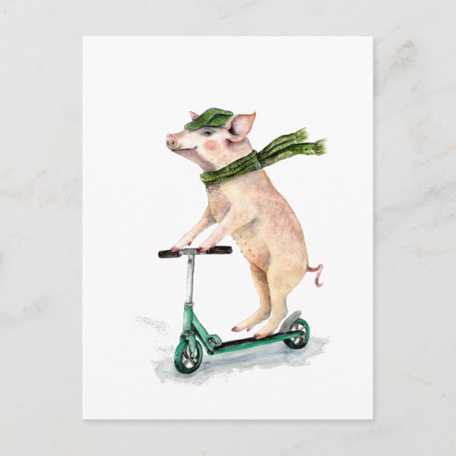 Schweine auf einem Roller Postkarte (Vorderseite)