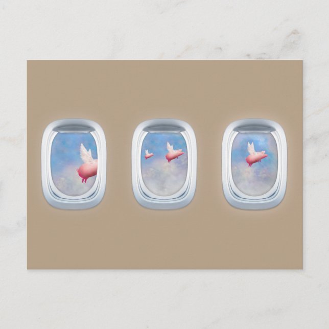 Schweine, die an Flugzeugfenstern vorbeifliegen Postkarte (Vorderseite)