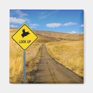 Schweine, die über dem Zeichen fliegen Magnet