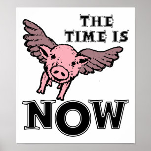 Schweine Fliegen Jetzt Lustiges Poster