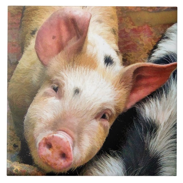 SCHWEINE FLIESE (Vorderseite)