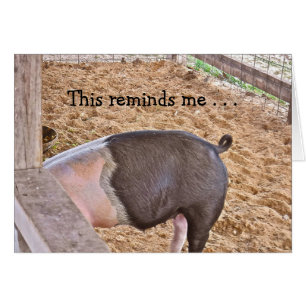 SCHWEINE GENIESSEN EINE MAHLZEIT /ERINNERT MICH/ L