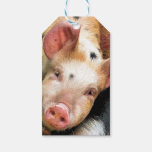 SCHWEINE GESCHENKANHÄNGER