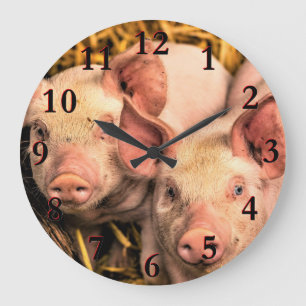 Schweine Große Wanduhr