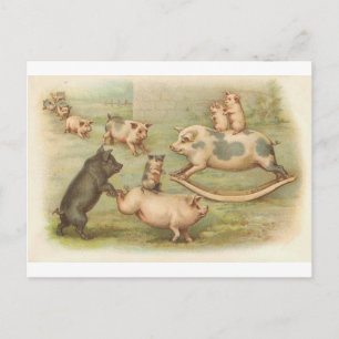 Schweine im Spiel Vintage Postkarte
