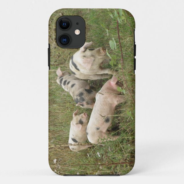 Schweine in einem Feld iPhone 5 Fall Case-Mate iPhone Hülle (Rückseite)