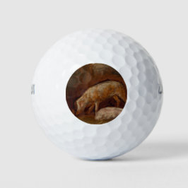 Schweine in einem Stall (Tierart) Golfball