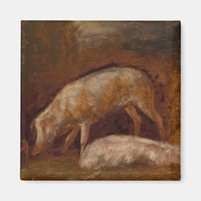 Schweine in einem Stall (Tierart) Magnet (Vorne)