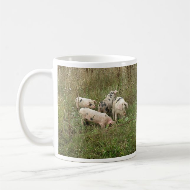 Schweine in Tasse (Links)