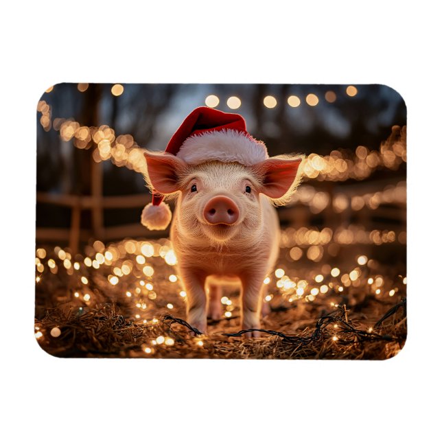 Schweine in Weihnachtsmannmütze flexibel Magnet (Horizontal)