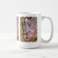 SCHWEINE KAFFEE-TASSE