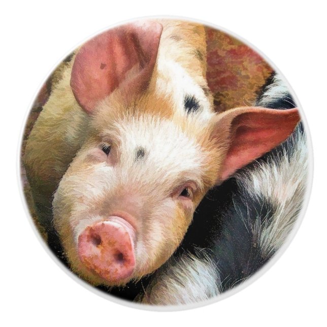 SCHWEINE KERAMIKKNAUF (Vorderseite)