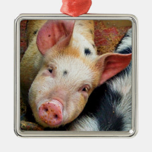 SCHWEINE ORNAMENT AUS METALL