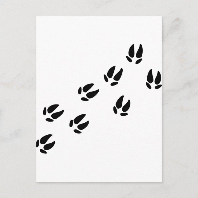 Schweine Postkarte (Vorderseite)