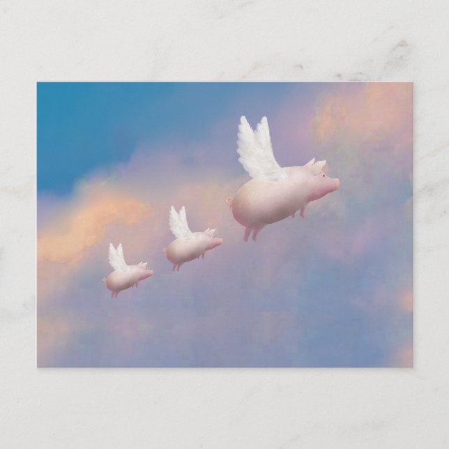 Schweine Postkarte (Vorderseite)