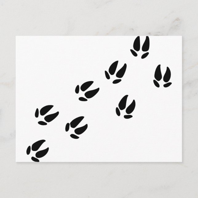 Schweine Postkarte (Vorderseite)