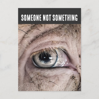 Schweine-Postkarte, JEMAND NICHT ETWAS Postkarte