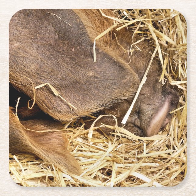 SCHWEINE RECHTECKIGER PAPPUNTERSETZER (Vorderseite)