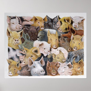 Schweine reichlich poster