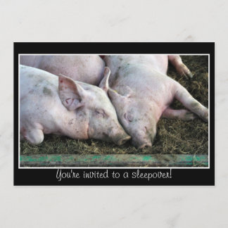 Schweine schlafen, Einladung zum Schlafen