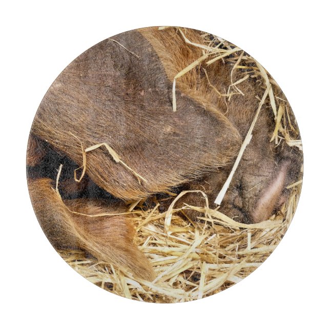 SCHWEINE SCHNEIDEBRETT (Vorderseite)