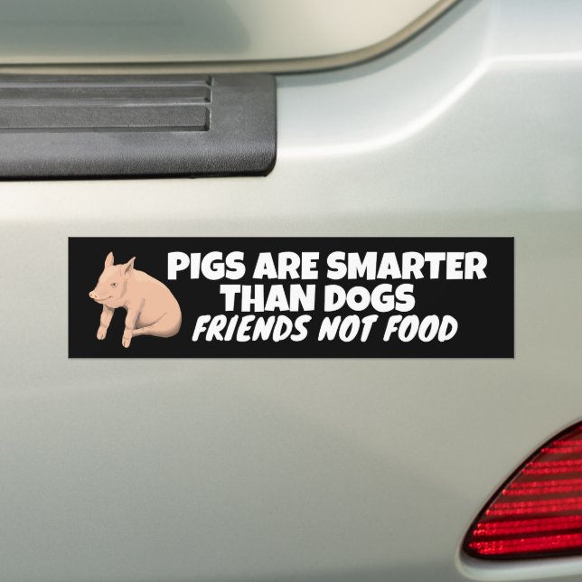SCHWEINE SIND KLEINER ALS HUNDE, FREUNDE NICHT ESS AUTOAUFKLEBER (Auf Auto)