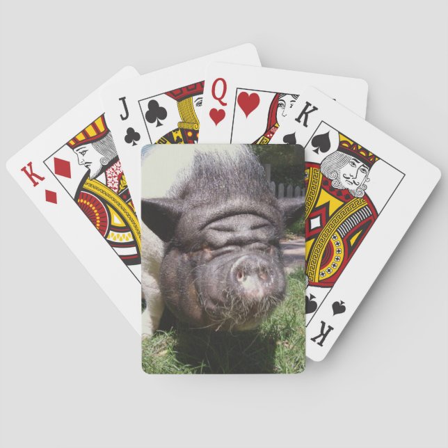 Schweine Spielkarten (Rückseite)
