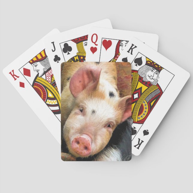 SCHWEINE SPIELKARTEN (Rückseite)