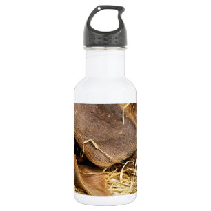 SCHWEINE TRINKFLASCHE