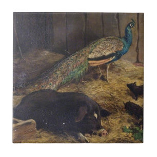 Schweine und Pfau von Charles Burton Barber im Jah Fliese