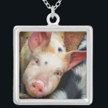 SCHWEINE VERSILBERTE KETTE<br><div class="desc">Dieses niedliche kleine Schwein will nur "Hi" zu sagen! England UK</div>