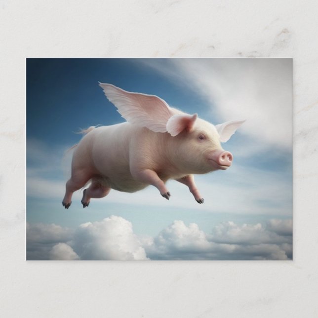 Schweine werden fliegen! postkarte (Vorderseite)