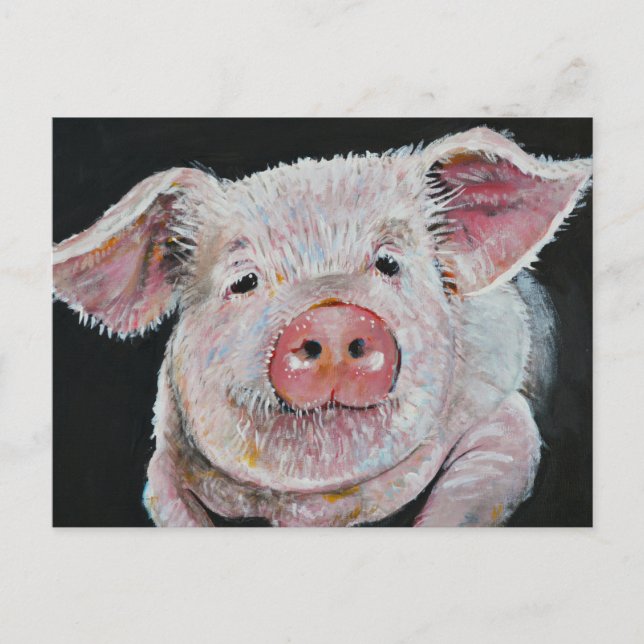 Schweine, Wiggy, Woo. Postkarte (Vorderseite)
