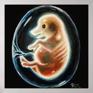 Schweineembryo Foliendrucke