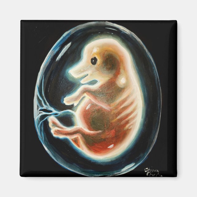 Schweineembryo Magnet (Vorne)