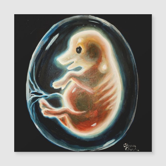 Schweineembryo Magnetkarte (Vorderseite)