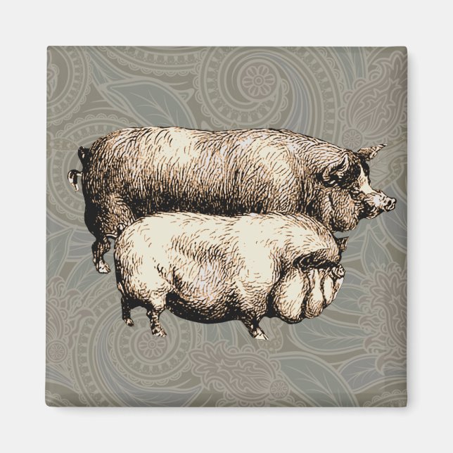 Schweinefarm Land Antike Illustration Kunst, Dicht Magnet (Vorne)