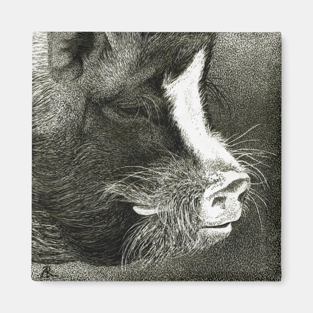 Schweinefleisch-Magnet Magnet (Vorne)