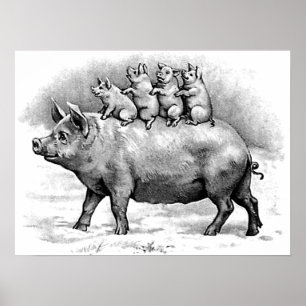 Schweinefleisch Poster