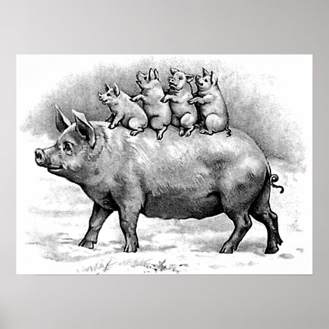 Schweinefleisch Poster (Vorne)