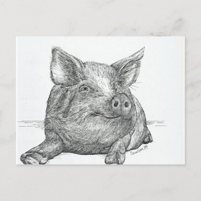 Schweinefleisch Postkarte (Vorderseite)
