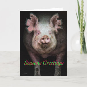 Schweinegrüße Feiertagskarte