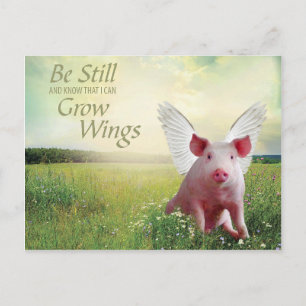 Schweinehecht Postkarte