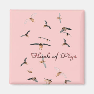 Schweineherde Magnet