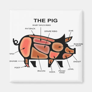 Schweinekasten-Diagramm Magnet