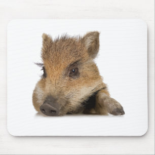 Schweinekupfervektor Mousepad