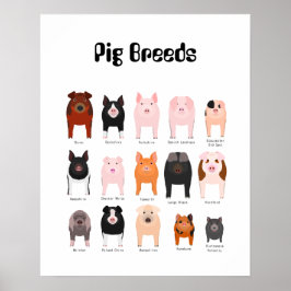 Schweinepestern Poster