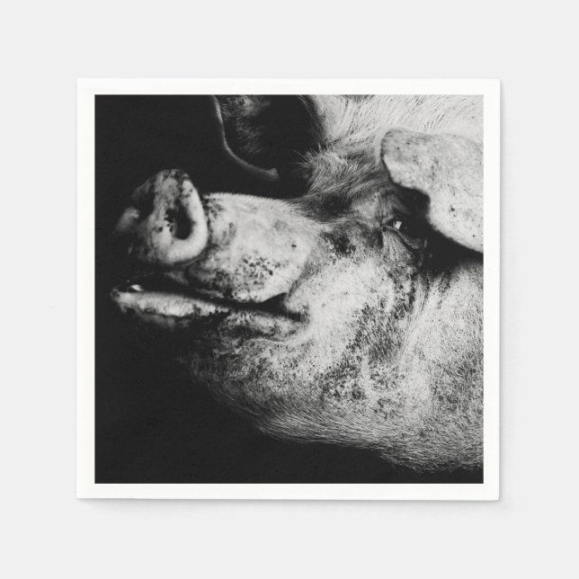 Schweineporträt Serviette (Vorderseite)